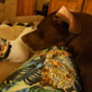 Meet your Posher, Gloria